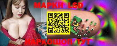 spice Краснокаменск