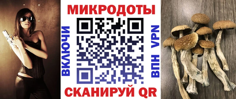 Галлюциногенные грибы Psilocybe  купить   Заволжье 