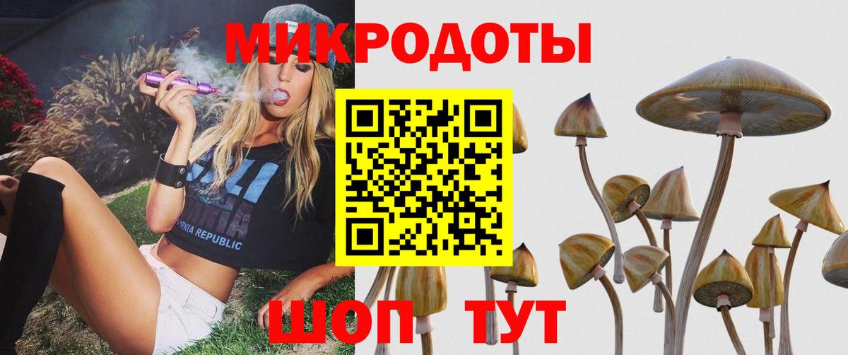 магазин продажи наркотиков  Псилоцибиновые грибы Cubensis  Псилоцибиновые грибы Cubensis  Вход с VPN  Заволжье 